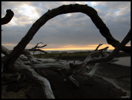 Driftwood tri-bar.jpg