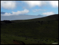 The lower desert grasslands turn green at 3000 ft.jpg