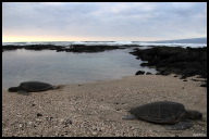 Exiting the transition zone.jpg