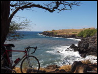 Taking a break in the shade.jpg