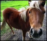 Tell me about the angels in heaven.jpg