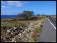 More rolling hills and the Kohala Coast.jpg
