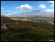 Mauna Kea viewed from Kohala Mountain Rd.jpg