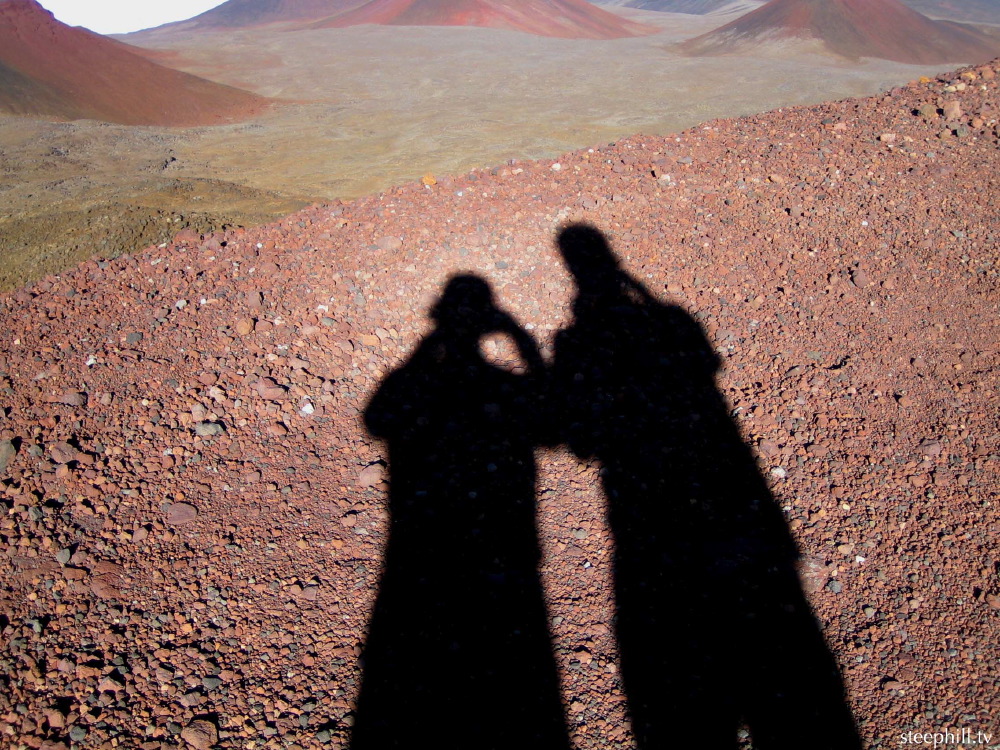 just we and our shadows.jpg