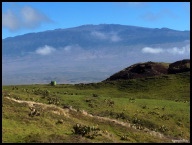 Observing the Mauna Kea observatories from Kohala Mountain Rd.jpg