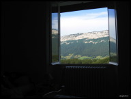 Room with a view.jpg