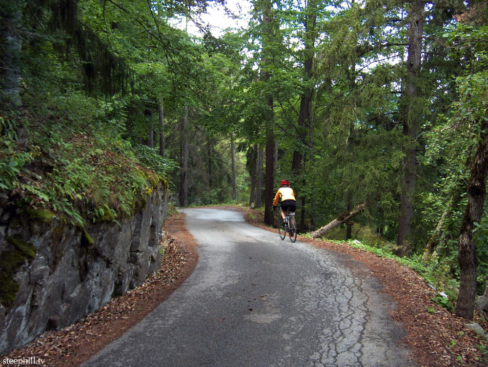 some of the switchback#974.jpg