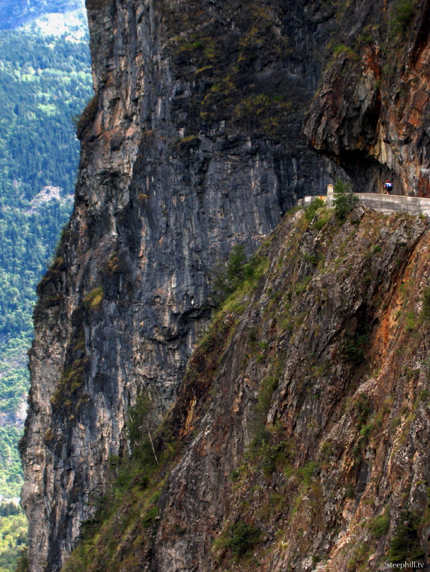 tiny rebecca illustrat#916.jpg