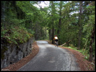 Some of the switchbacks are wooded.jpg