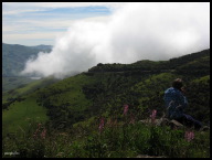 We weren't the only ones capturing the fog spilling in from the ocean.jpg