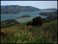 Akaroa Harbour was created when the crater flooded as the volcano sunk 2500 meters.jpg