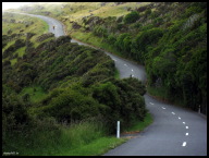 Rebecca nearing the top of a steep roller.jpg