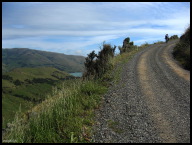 The end of the 5K dirt climb at Wild Cattle Hill.jpg