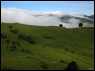 Fog rolling through the hills.jpg