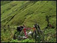 Lush Wild Cattle Hill.jpg