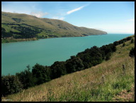 Turquoise, Tranquil...Turquillity!.jpg