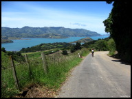 Descending to Akaroa Harbour.jpg