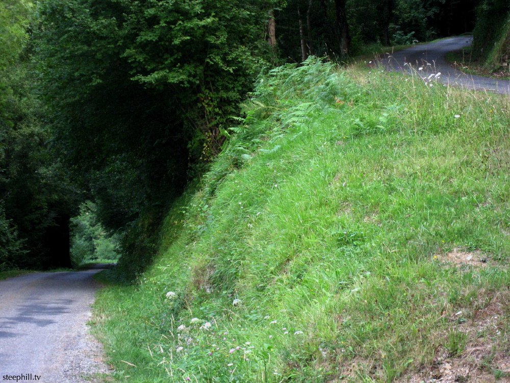 forested switchback cl#9fb.jpg