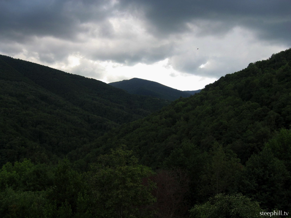 forested view while de#b95.jpg