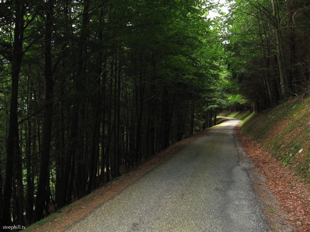 marrous is a forested col.jpg