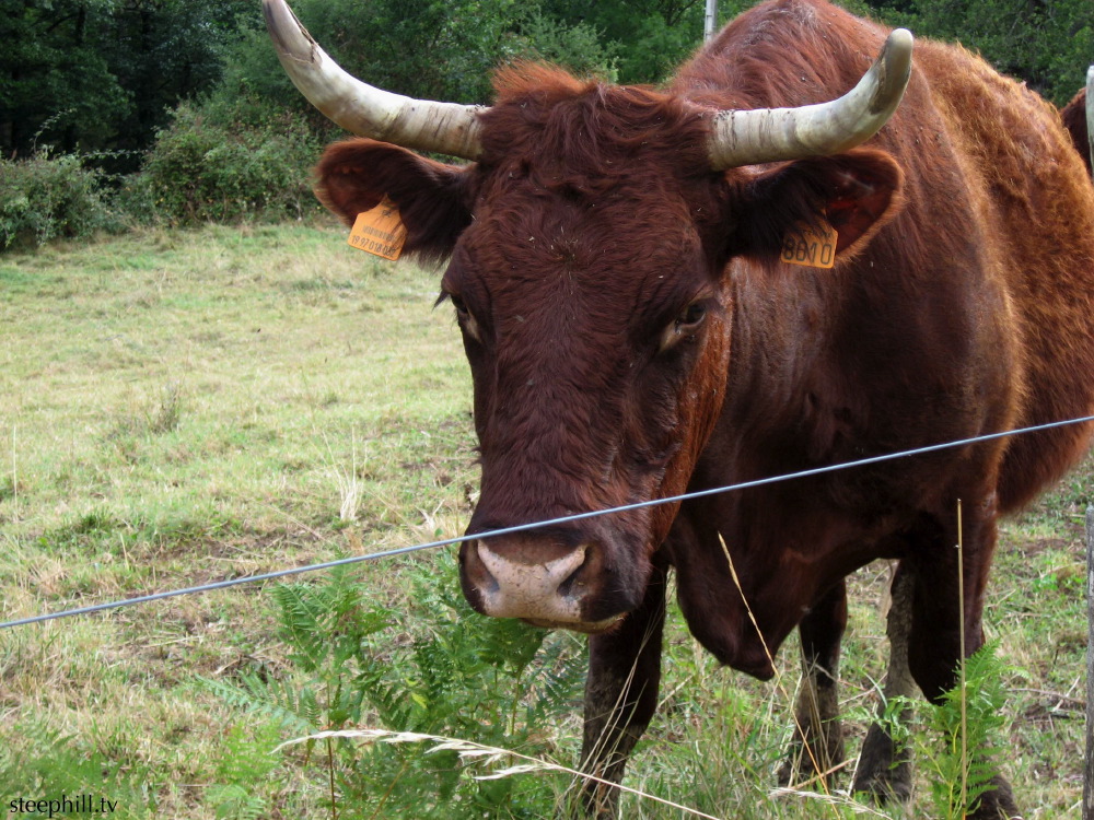 we rarely give you any bul.jpg