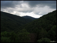 Forested view while descending back into Foix.jpg