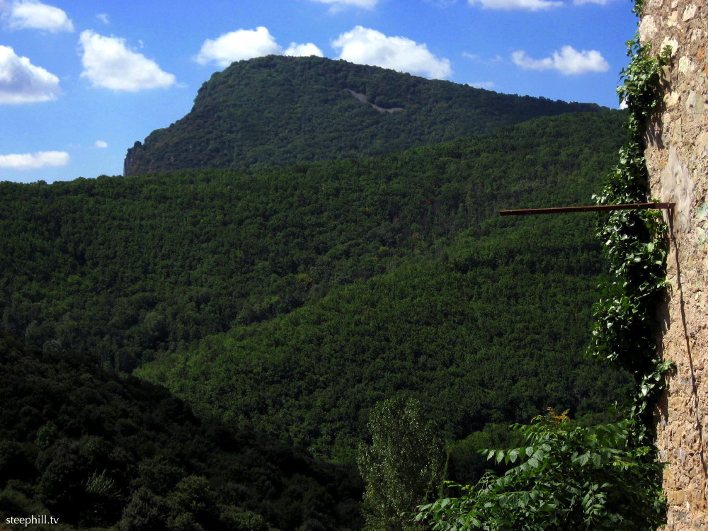 img_1541 lairiere back#c49.jpg