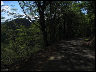 IMG_1528 Small forested Cols along D40.jpg