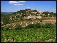 IMG_1598 but, it doesn't matter what road you take in S. France; Vineyards surrounding Montgallliard.jpg