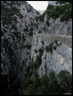 IMG_1666 Here's another attempt.jpg