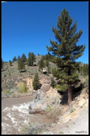 Vertical panorama of the East Fork Carson River.jpg