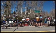 Alta Alpina club ride regrouping at the top of Monitor Pass.jpg