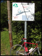 The cordial category 1 greeting.jpg