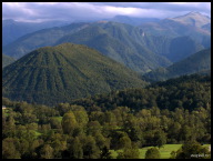 Mountain forest art.jpg