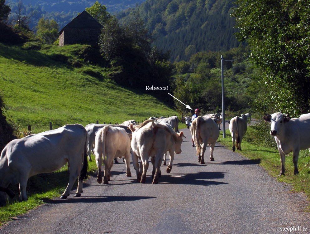 sharing the road wit#1bad8.jpg