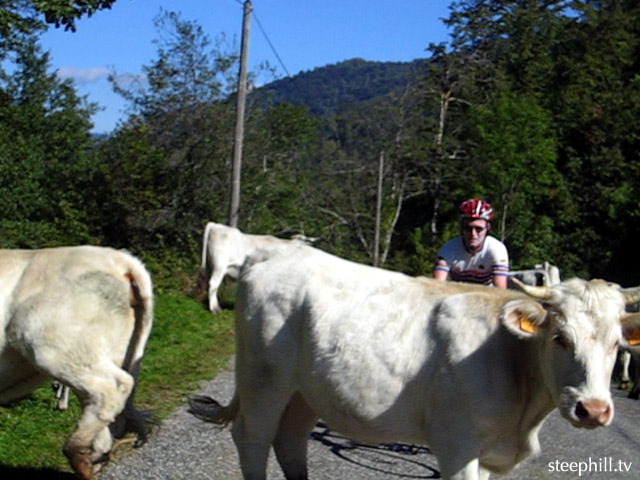 the riding with the #1b7f6.jpg