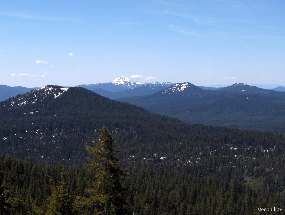 national forests and #fe39.jpg