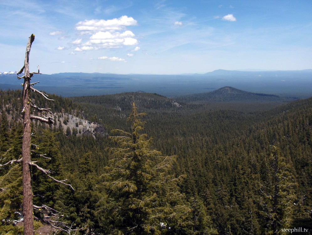 the view in the other#fe39.jpg