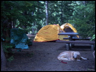 He won't pitch his own tent, but he can snooze with the best of them.jpg