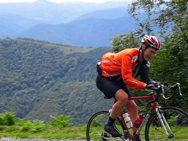 whose idea was this?.jpg