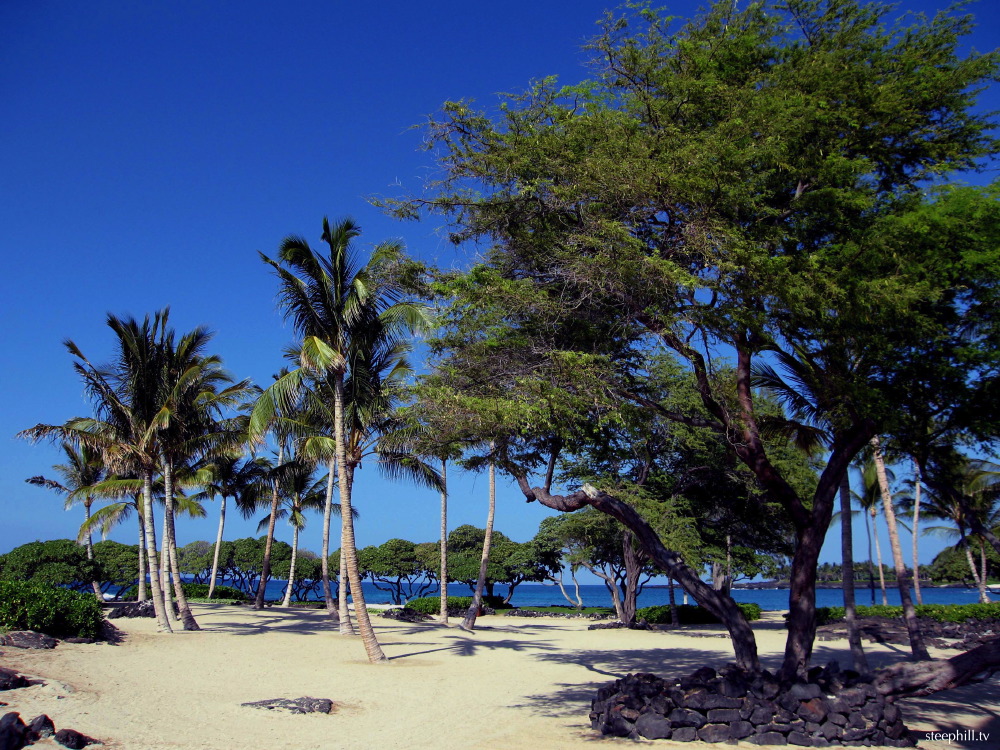 all hawaiian beaches#22f21.jpg