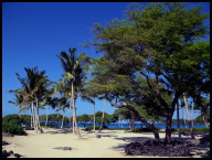 All Hawaiian beaches have public access so everyone can share the beauty.jpg