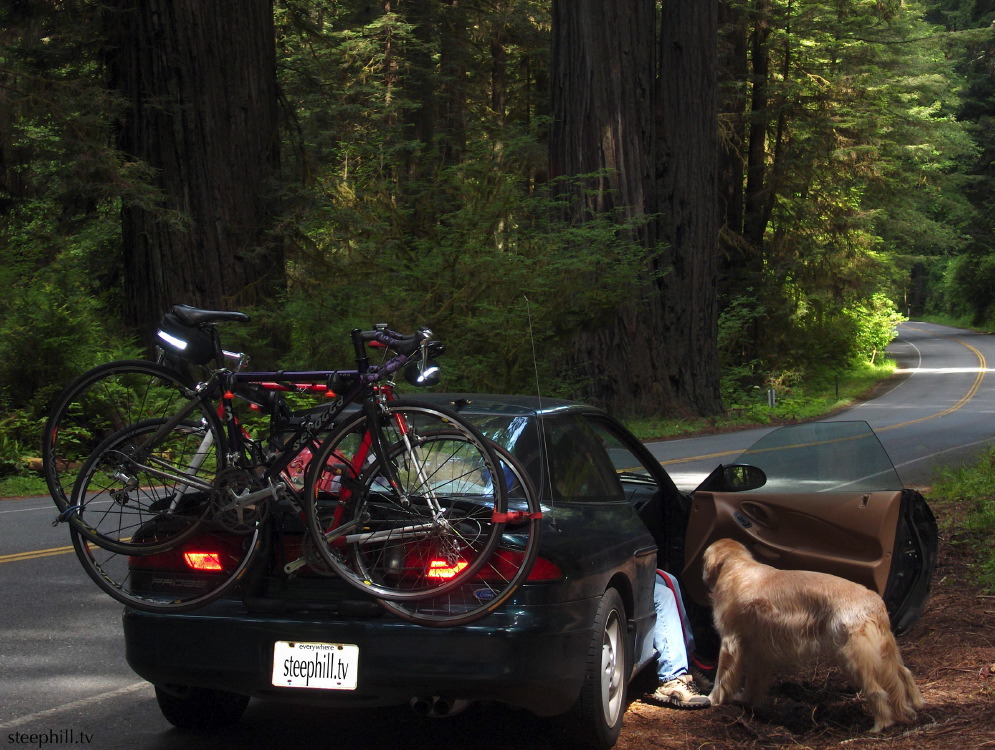 but it was a driving#11075.jpg