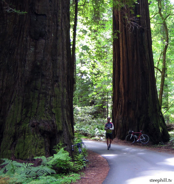 humbled in humboldt.#10317.jpg