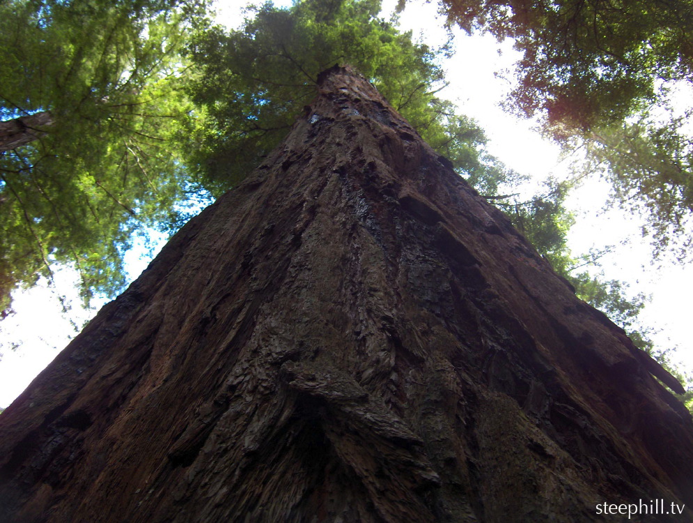 putting things into #1008e.jpg