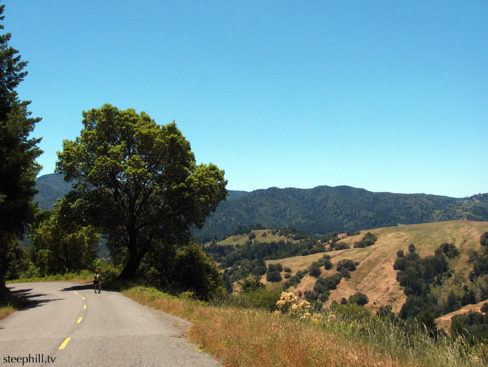 the beautiful panthe#10feb.jpg