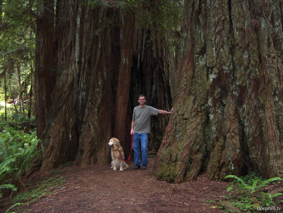 while driving north #11076.jpg