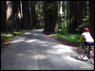 A bumpy road made it difficult to ride with no hands and shoot movies.jpg.jpg
