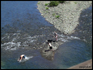 Kids swimming in the Mattole River at Honeydew.jpg