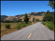 The road from Honeydew to Petrolia is the only extended flat section in the area.jpg